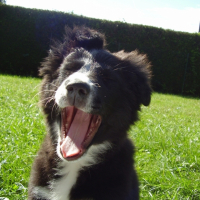 Photo #221979 de Lilou