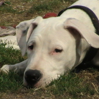 Photo #221981 de Elsy