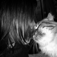 Photo #222000 de Prunelle
