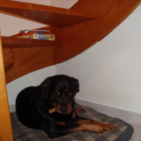 Photo #222029 de Romy