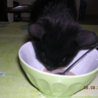 Photo #222114 de Ewa