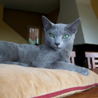 Photo #222164 de Catharina 