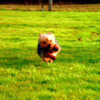 Photo #222170 de Bïanka