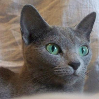 Photo #222172 de Catharina 