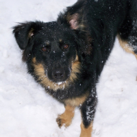 Photo #222220 de Nala