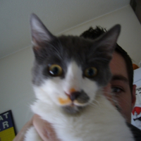 Photo #222222 de Kolo