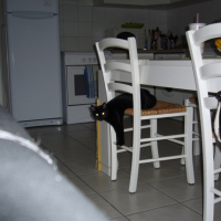 Photo #222240 de Isis