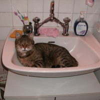 Photo #222242 de Fanette