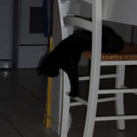 Photo #222244 de Isis