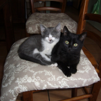 Photo #222269 de Isis