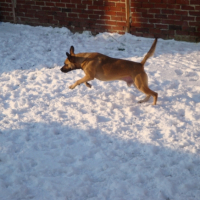 Photo #222280 de Roky balboa