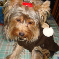 Photo #222316 de Elia