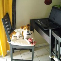 Photo #222344 de Dina