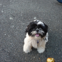 Photo #222424 de Etoile