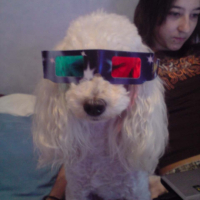 Photo #222435 de Ralph