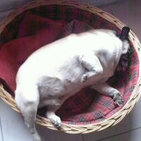 Farniente