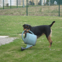 Photo #222447 de Caya