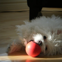Photo #222478 de Maggie