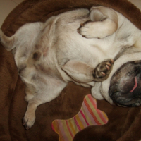 Photo #222492 de Vito
