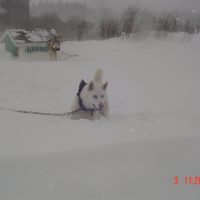 Photo #222519 de Gerryy