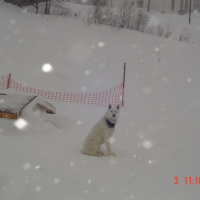 Photo #222520 de Gerryy