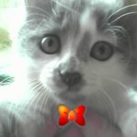 Photo #222529 de Booba