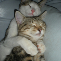 Photo #222608 de Eliot