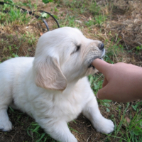 Photo #222689 de Cyrius