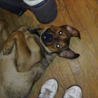 Photo #222698 de Eïachann