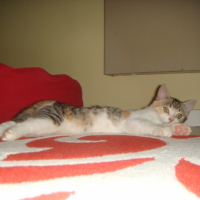 DSC03844