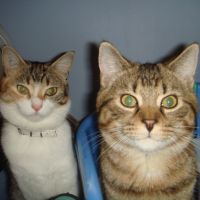 Photo #222743 de Canelle