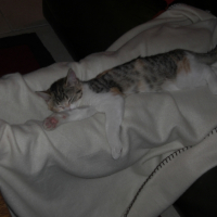 Photo #222746 de Canelle