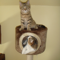Photo #222749 de Canelle