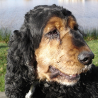 Photo #222791 de Tess
