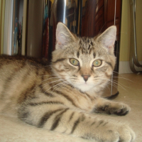 DSC05760