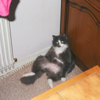 Photo #222822 de Myckette