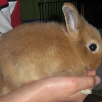 Photo #222846 de Eliott