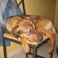 Photo #222847 de Roxanne