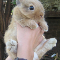 Photo #222848 de Eliott