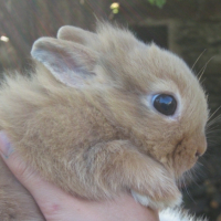 Photo #222853 de Eliott
