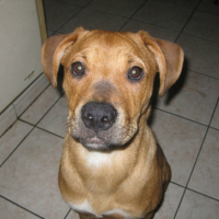 Photo #222854 de Chance