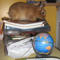 Photo #222855 de Eliott