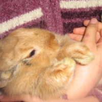 Photo #222856 de Eliott