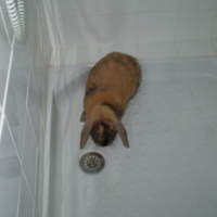 Photo #222904 de Michka