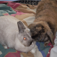 Photo #222905 de Michka