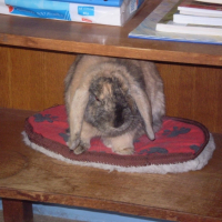 Photo #222906 de Michka