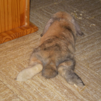 Photo #222908 de Michka