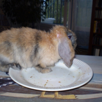 Photo #222910 de Michka