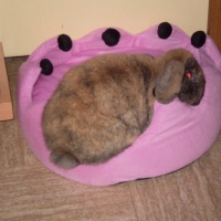 Photo #222912 de Michka