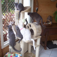 Photo #222923 de Catharina 